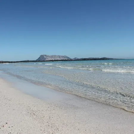 Villette Con Piscina A 300m Dalla Spiaggia Di *